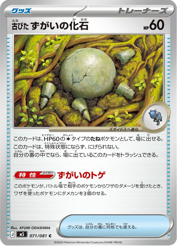 Antikes Kopffossil