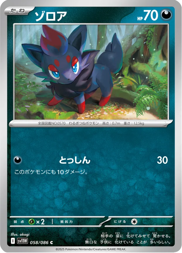 Zorua
