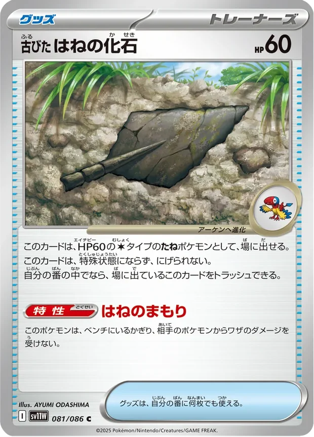 Antikes Federfossil