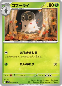 Puponcho