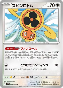 Wirbel-Rotom