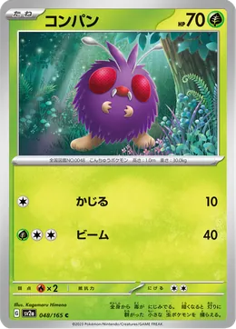 Bluzuk