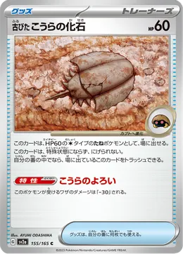 Antikes Domfossil