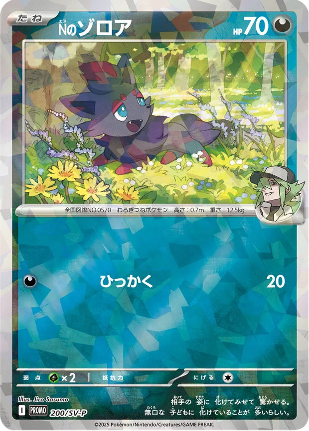 Ns Zorua