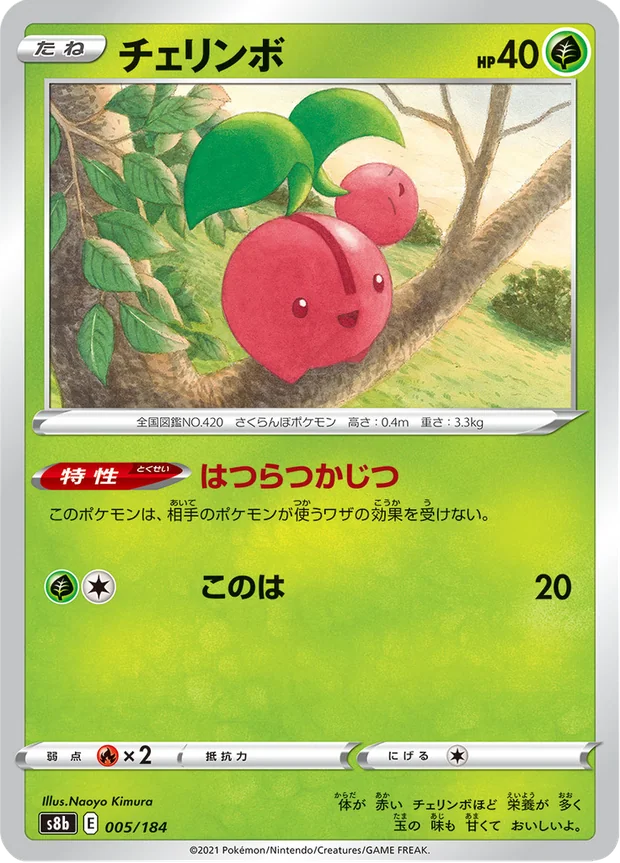 Kikugi