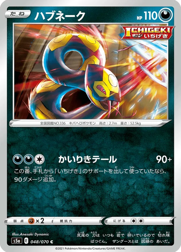 Vipitis