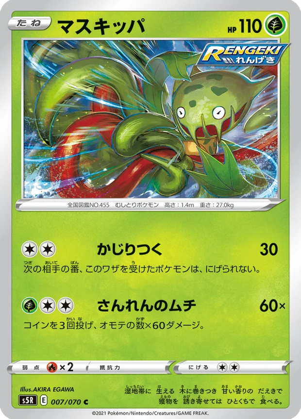 Venuflibis