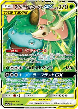 Venusaur Snivy GX