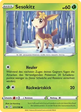 Sesokitz