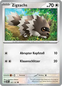 Zigzachs