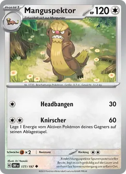 Manguspektor